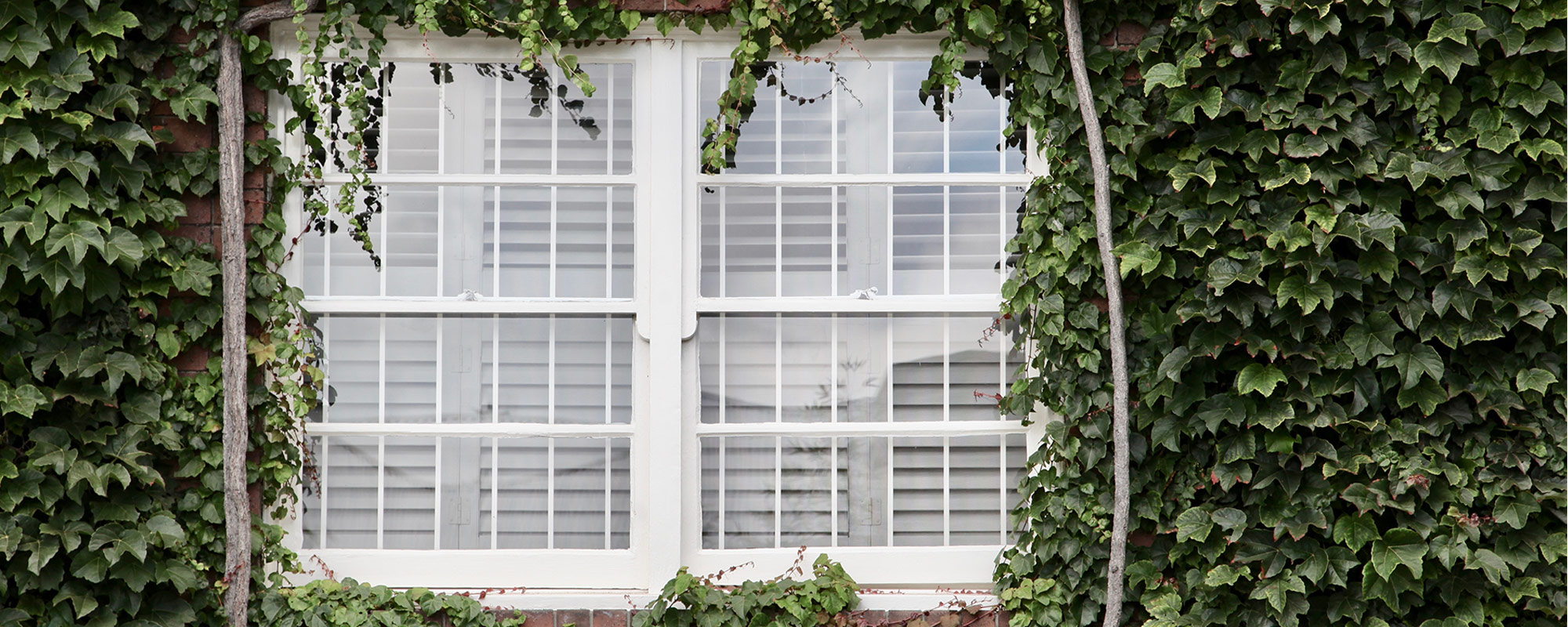 Window Shutters North West